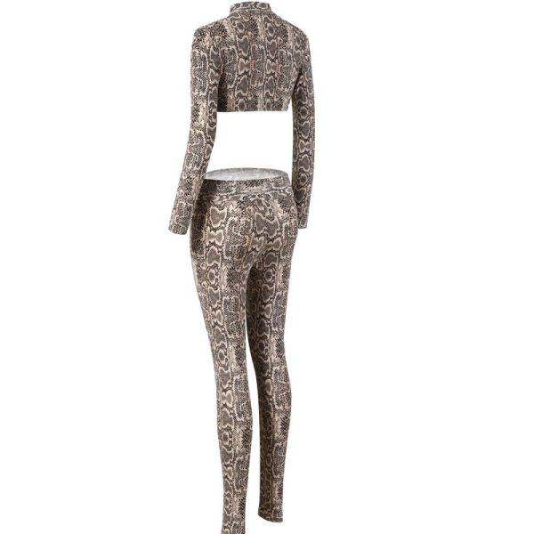 Sets Womens Outfits GYM Leopard Print Push Up Hip Sexy Tight Pencil Pants Sexy Legging Leopard Crop Top Women 2020 Two Piece Set Gothtopia https://gothtopia.com